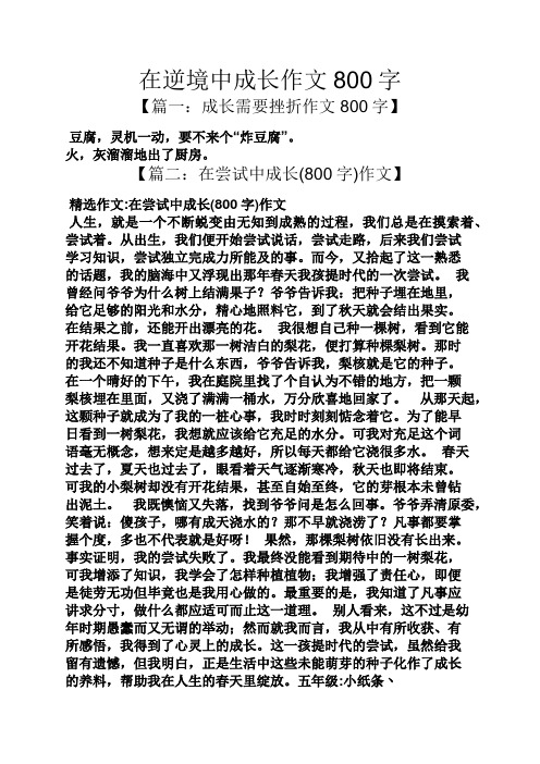 从挫折中崛起：车手的逆境成长故事的简单介绍
