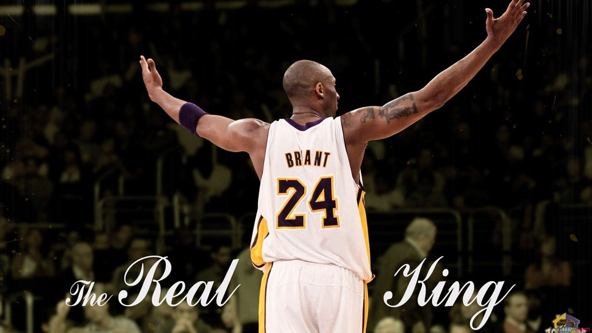 世界杯战场火热：每一场都精彩纷呈！，世界杯那场